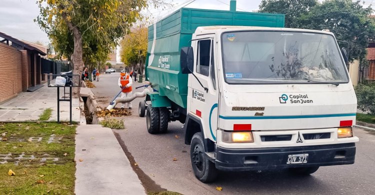 Oso hormiguero: "la máquina que se suma a los operativos de limpieza de Capital"