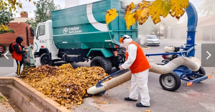 Capital: más de 20 mil kilos de hojas secas y trituradas para compost