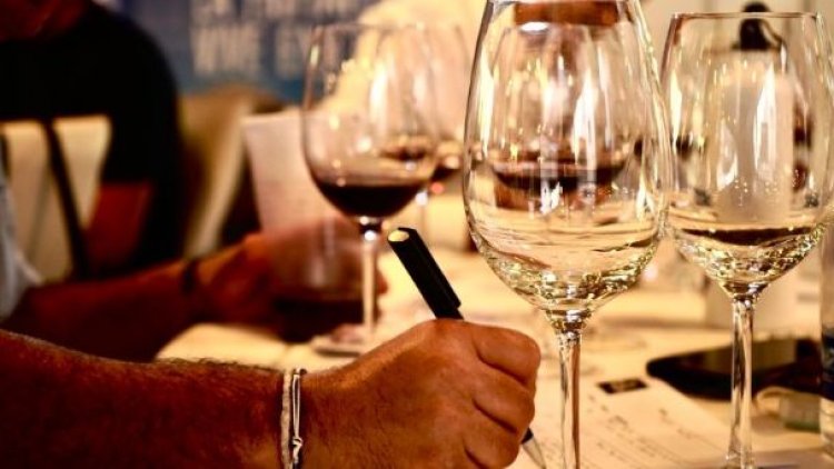 XXXV Cata de Vinos: buscan posicionar la cadena vitivinícola
