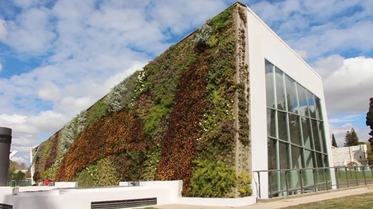 Vacaciones en Capital