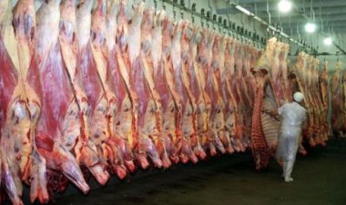 El Gobierno suspendió las exportaciones de carne