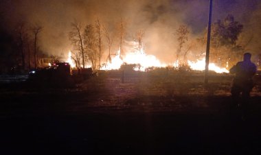 Por el viento zonda bomberos intervinieron en más de 30 incendios