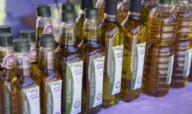 San Juan trabaja en la obtención de la Denominación de Origen del aceite de Oliva Virgen Extra