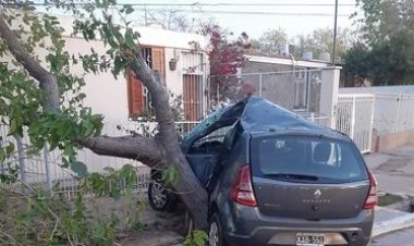 Joven de 37 años murió tras incrustarse en un árbol