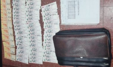 Un joven robo un maletín con $194 mil pesos en pleno centro