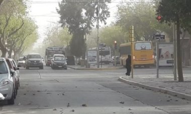Viento Sur protagonista en la jornada