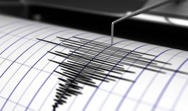 Fuerte sismo con epicentro en Chile se sientió a San Juan