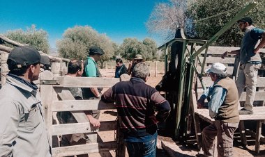 Cursos de "Mejora genética y Sanidad Reproductiva de los Rodeos Precuarios" en Iglesia