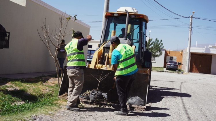 Realizan un operativo de limpieza y recolección de escombros en Zona Norte de Pocito