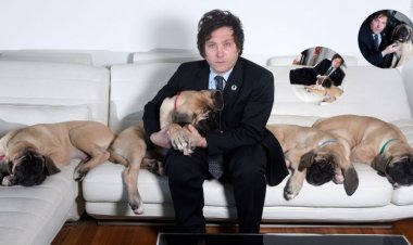 Cuándo se mudan los perros de Milei a Olivos