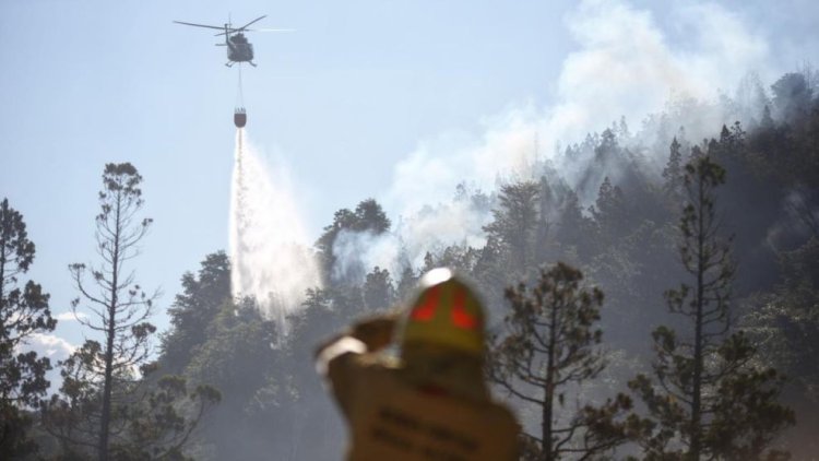 Chubut: el fuego ya consumió más de 2.000 hectáreas