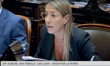 Ley Ómnibus: Aubone no acompañará el proyecto