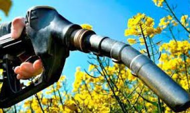 Cámara de biocombustibles apoyó la convocatoria al Pacto de Mayo