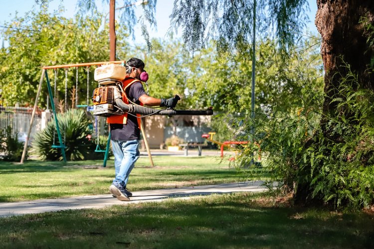 Abordajes integrales contra el dengue en la Ciudad
