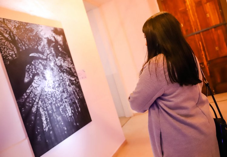 La Ciudad lanza una nueva edición del concurso de arte “Juego de Damas”