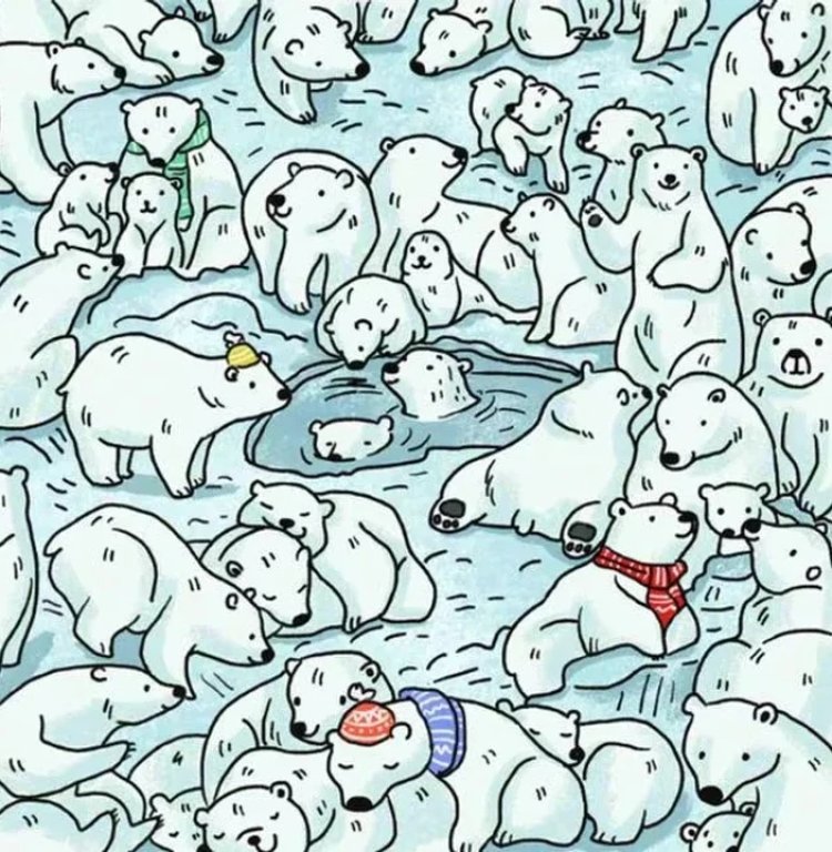 Descubre la foca en esta foto en solo 8 segundos