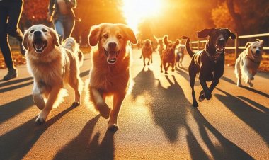 En Chile proponen otorgar un día de duelo ante la muerte de mascotas