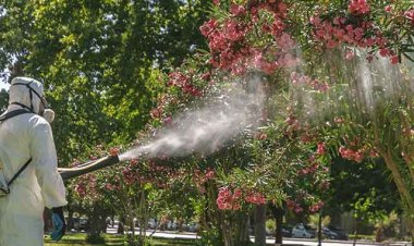 Desde el Malbrán advierten que "fumigar debería ser la última opción contra el dengue"