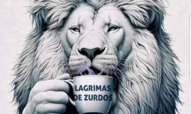 La desafiante reacción de Javier Milei a la marcha universitaria
