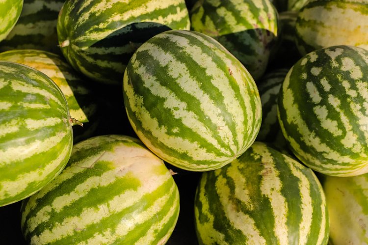 Feria y Mercado de Abasto: conoce los precios