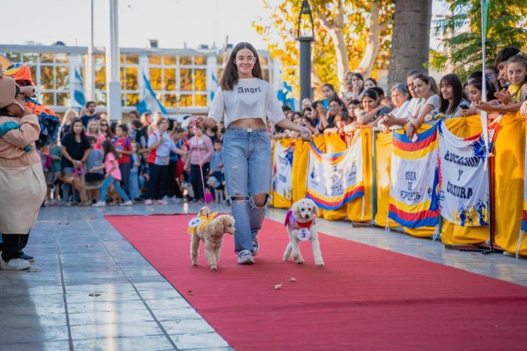 Inscribí tu mascota para ser una Estrella