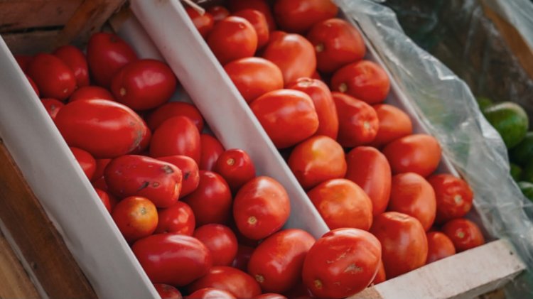 Pocito realiza la Feria Agroproductiva el sábado 11 de Mayo