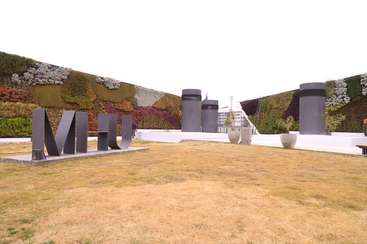 Celebración del Día Internacional de los Museos