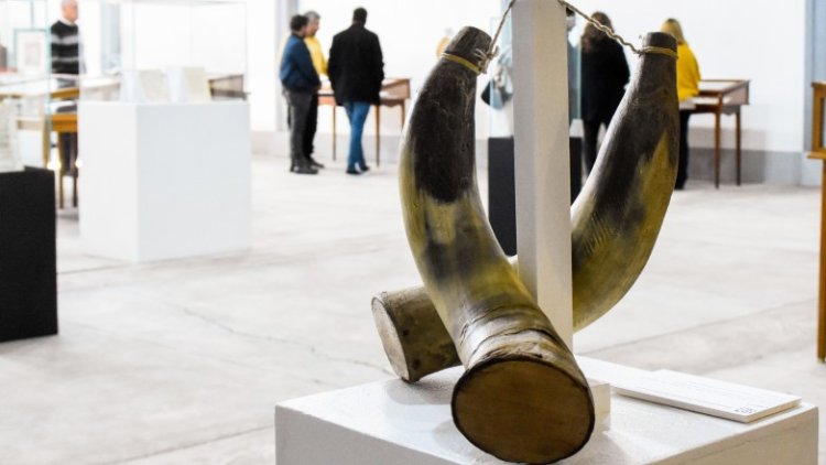 Conoce la muestra que reabre el Museo Gnecco