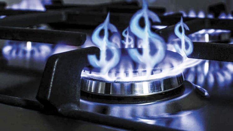El Gobierno suspendió la suba de tarifas del gas