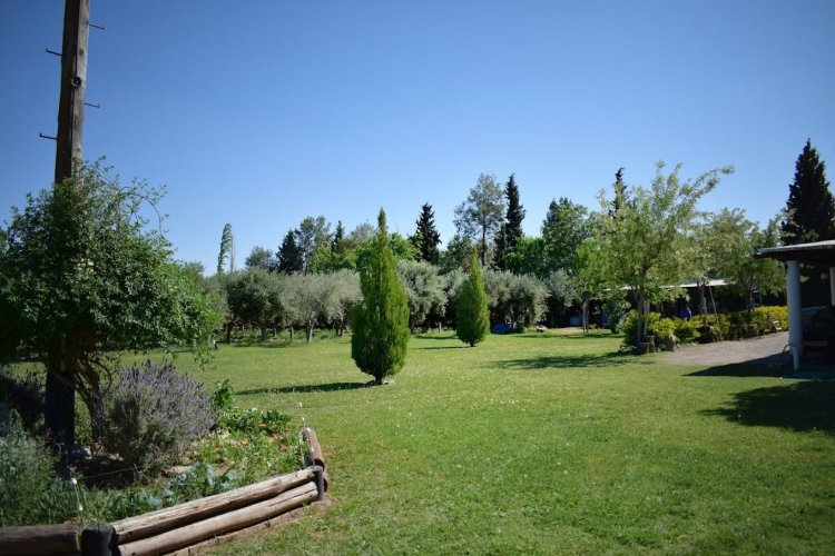 Raíces Patrias, Aromas y Sabores de Chimbas” una actividad para este 25 de Mayo