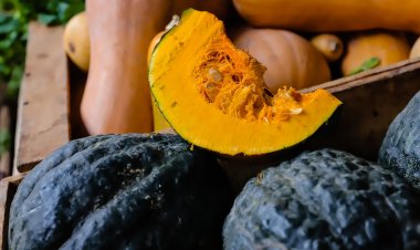 Feria y Mercado de Abasto con los mejores precios