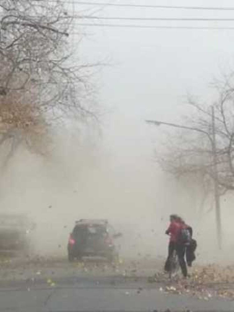 Emiten alerta amarilla por viento zonda