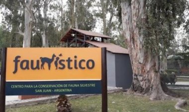 El Faunistico te espera en estas Vacaciones