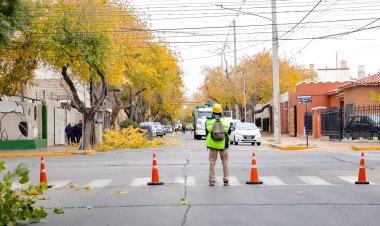 Continúa el Operativo de Poda Invernal en la Ciudad
