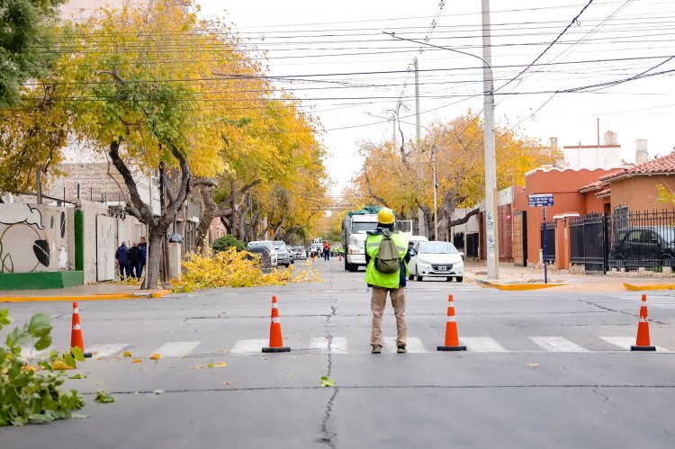 Continúa el Operativo de Poda Invernal en la Ciudad
