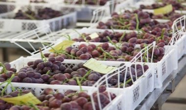 Crecen las ventas al exterior de productos más tradicionales de San Juan