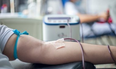 Campaña de Colecta de Sangre en la Cámara de Diputados