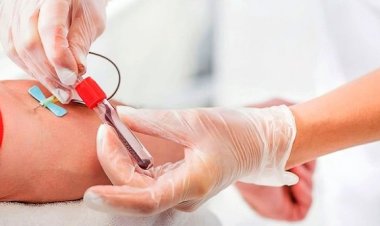 Estas son las colectas de sangre de septiembre