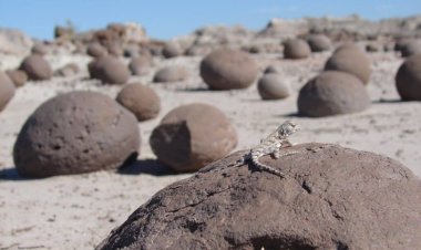 Ischigualasto fue elegido como uno de los Segundos 100 Sitios de Patrimonio Geológico