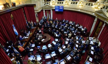 Diputados y senadores anunciaron su apoyo a la Marcha Universitaria