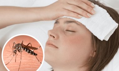 Rivadavia lanzó el programa¿Qué hiciste hoy contra el Dengue?