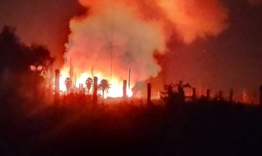 Voraz incendio en el Médano de Oro con evacaudos