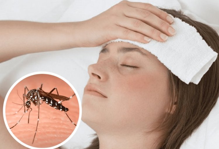 Rivadavia lanzó el programa¿Qué hiciste hoy contra el Dengue?