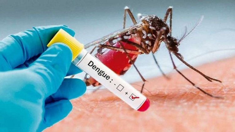 Descubren mutaciones que hacen más fuerte al Dengue