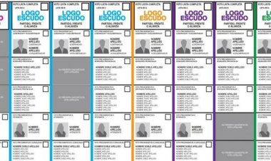 Se promulgó la ley que establece el uso de la Boleta Única de Papel