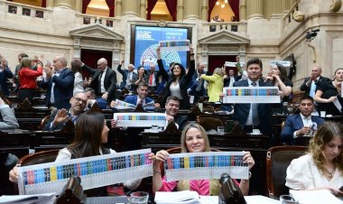 Diputados aprobó la Boleta Única de Papel que se usará en las próximas elecciones