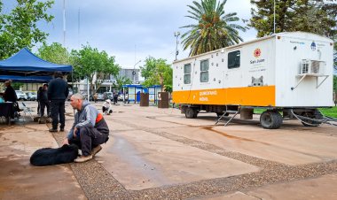 Realizan esterilizaciones a las mascotas en la Plaza De La Libertad en Pocito