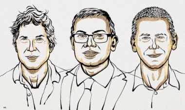El Premio Nobel de Química 2024 fue para tres científicos por su diseño computacional de proteínas