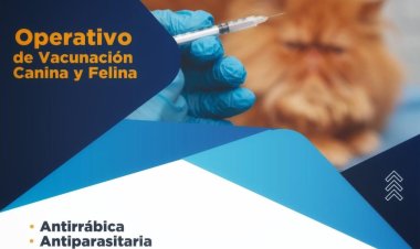 Pocito realizará Operativo de Vacunación Canina y Felina