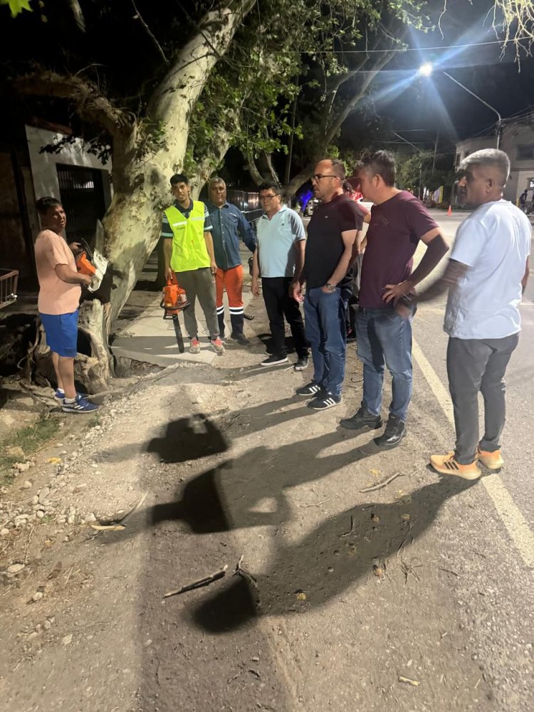 Rivadavia por el zonda levantó más de 20 árbol caídos